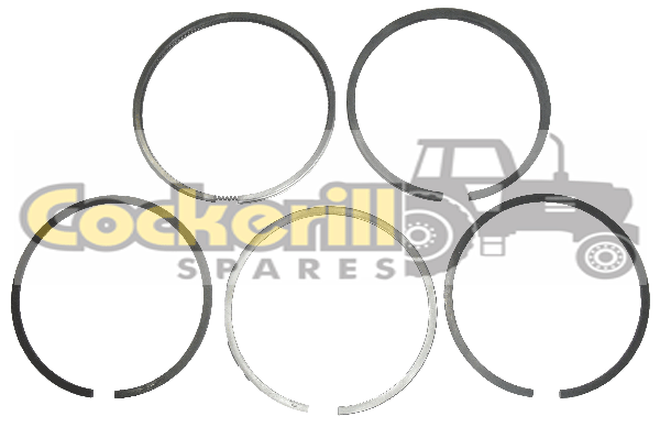 Piston Ring Set 